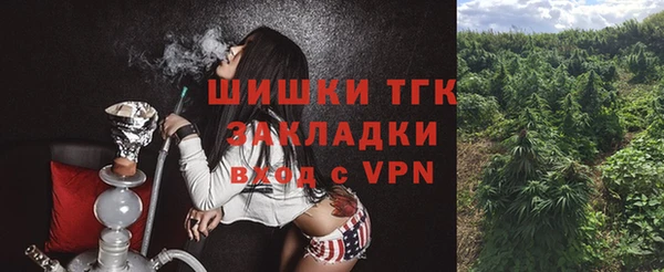 ПСИЛОЦИБИНОВЫЕ ГРИБЫ Алзамай
