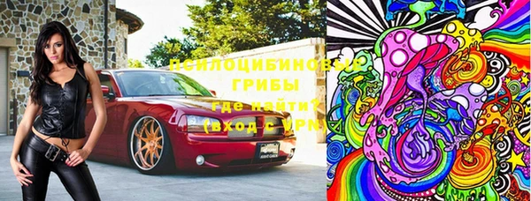 метадон Алексин